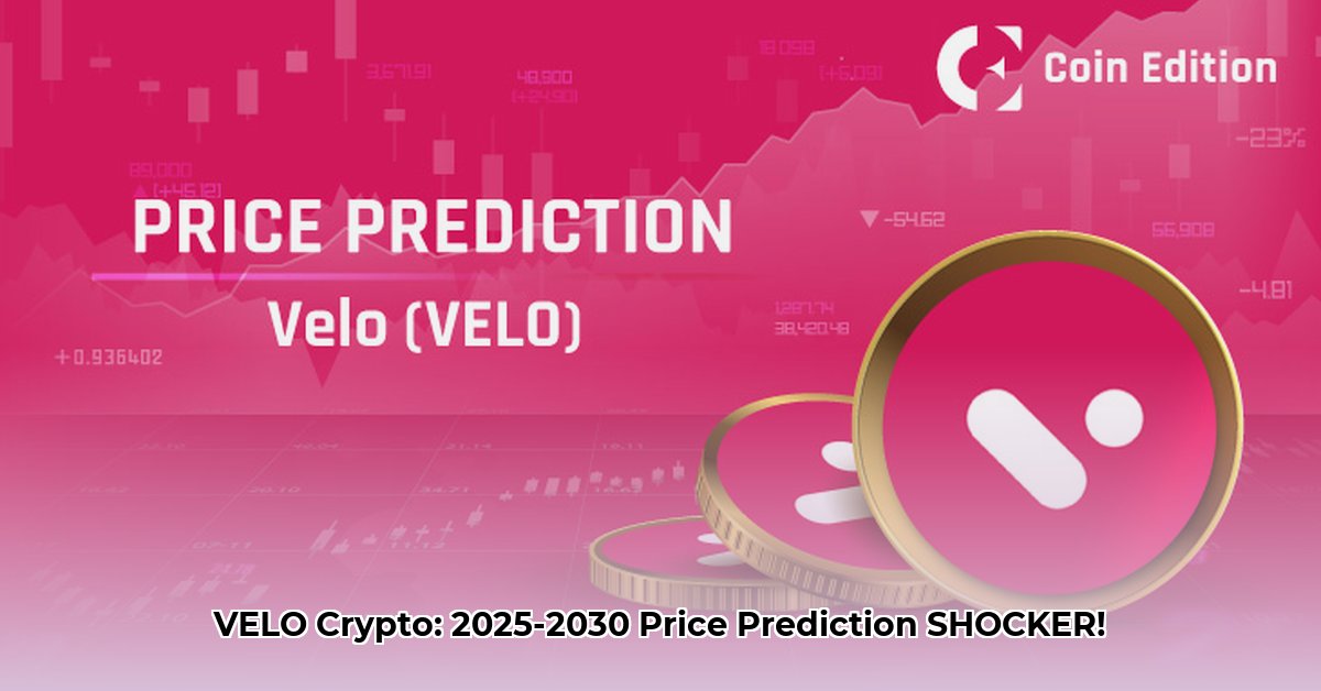 velo-crypto-price-prediction